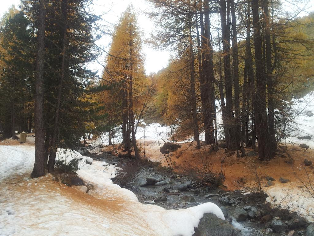 Chalet Rin Da Pemont Livigno Eksteriør bilde